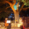 archive : scène de " La Nuit du Conte " - saison 2009-2010